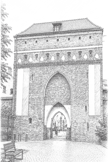 Strony internetowe Toruń